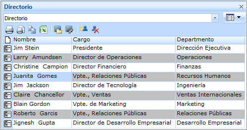 EL DIRECTORIO el directorio: